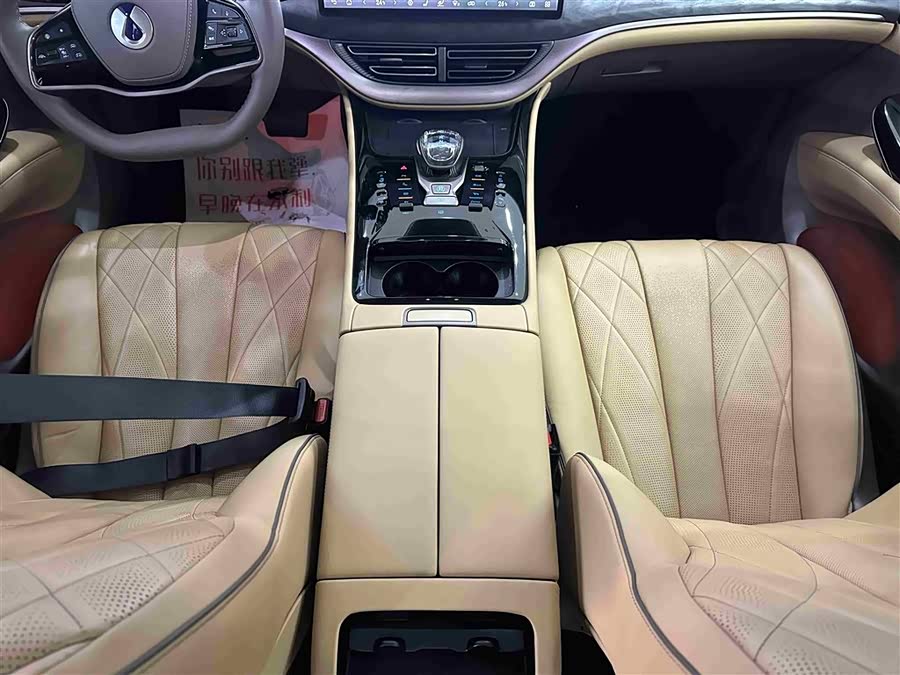 Denza D9 2023 imagem de carro #16