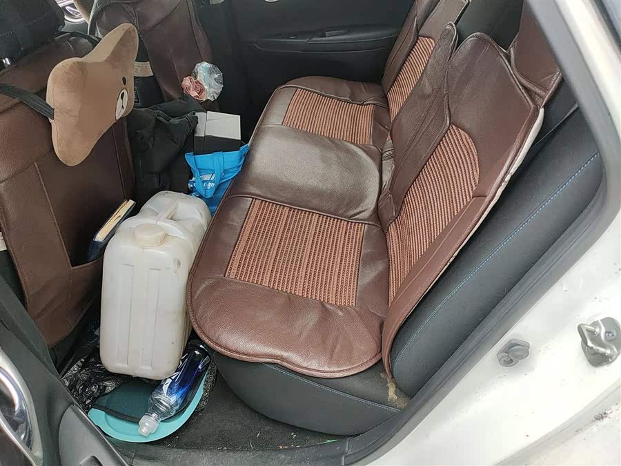 日产 轩逸·纯电 2019 汽车图片 #16