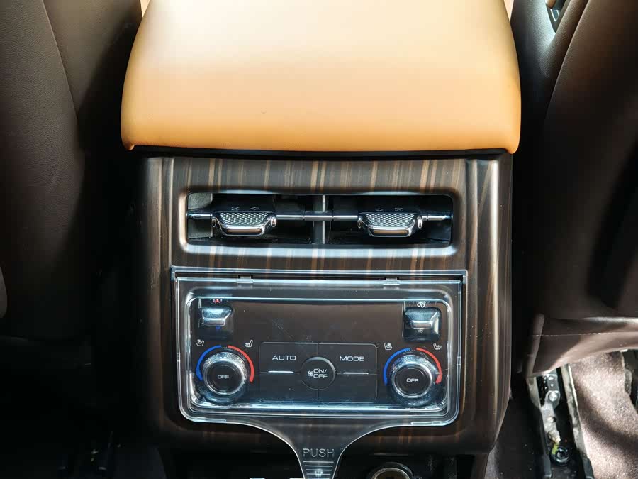 Tank 300 2021 car image #16