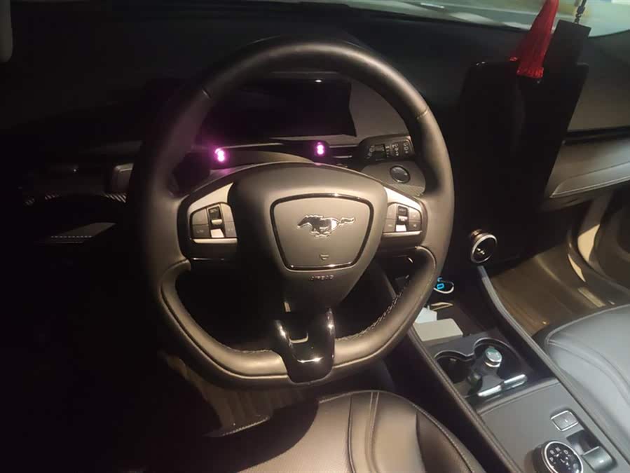 Ford Mustang Mach-E 2022 #16 Ford Mustang Mach-E 2022 car image #16