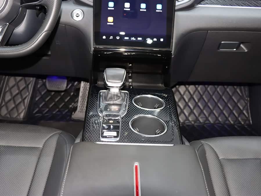 HongQi HS3 2024 immagine di auto #16