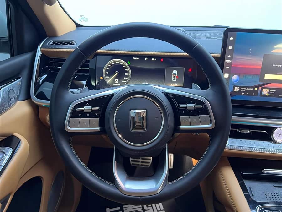 Tank 500 New Energy 2023 immagine di auto #16