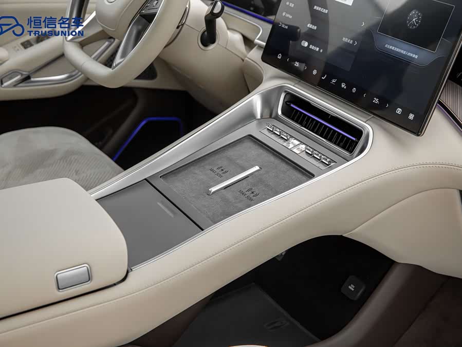 Denza N9 2025 car image #16