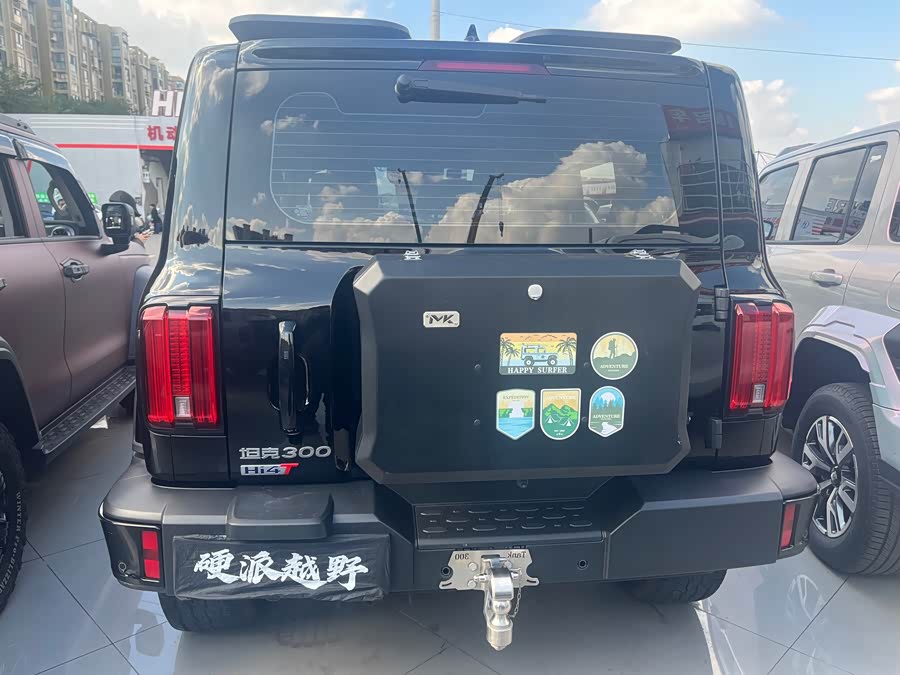 Tank 300 New Energy 2024 car image #16