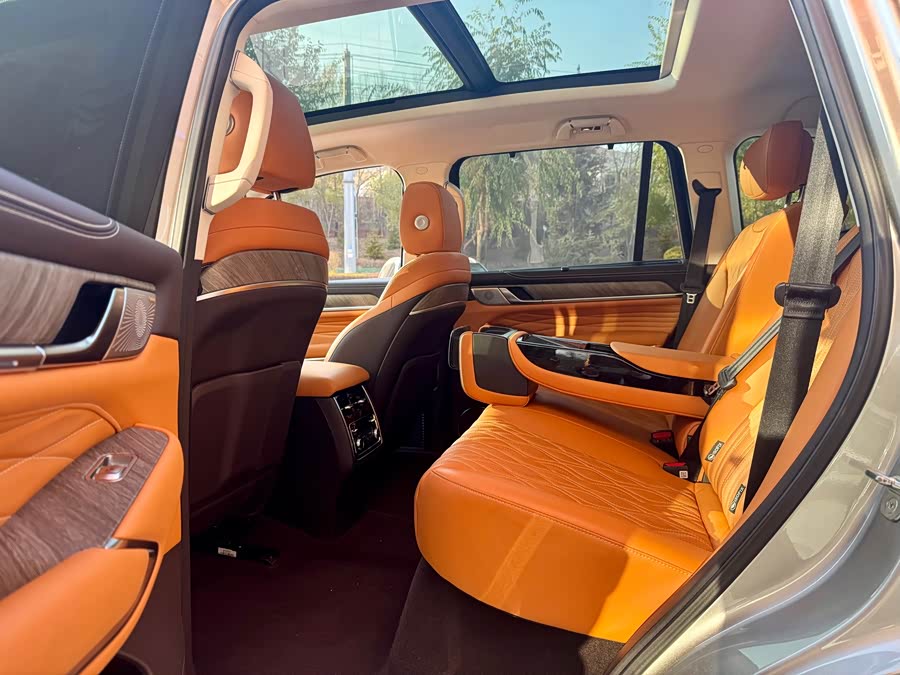 Tank 500 New Energy 2024 car image #16