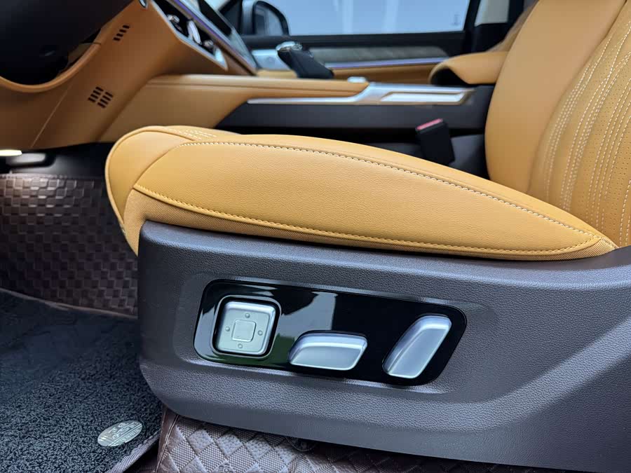 Tank 500 New Energy 2025 immagine di auto #16