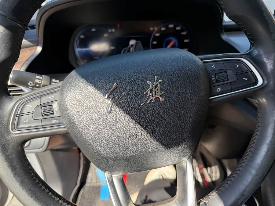 HongQi E-HS3 2019 car image #16