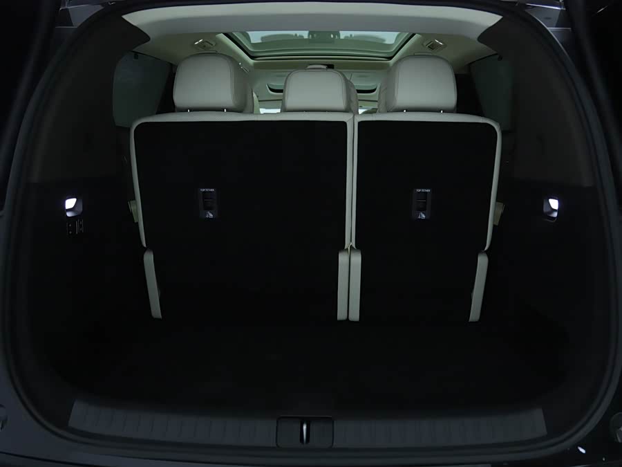 理想汽车 理想MEGA 2024 汽车图片 #16