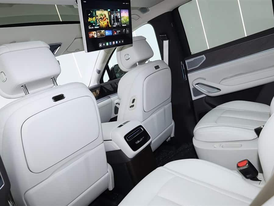 Denza N9 2025 car image #16