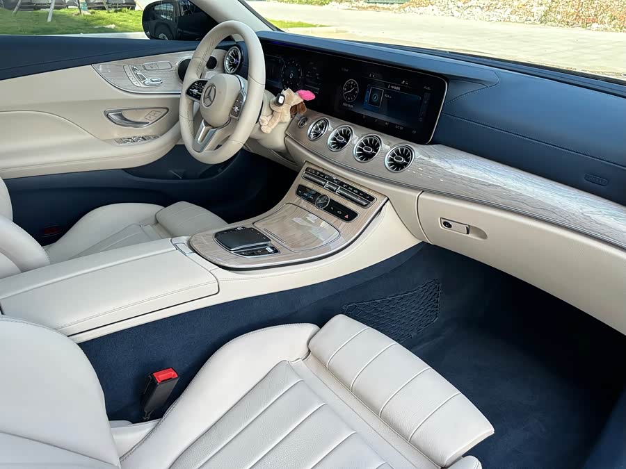 Mercedes-Benz E Class (Imported) 2019 car image #16