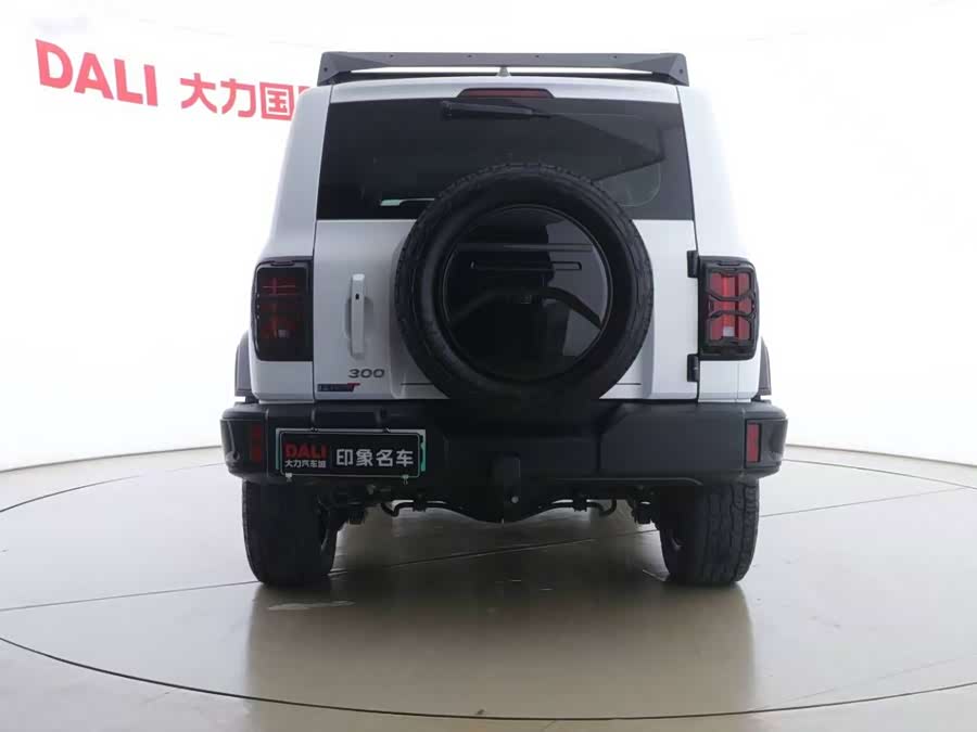 Tank 300 New Energy 2024 #16 Tank 300 New Energy 2024 immagine di auto #16