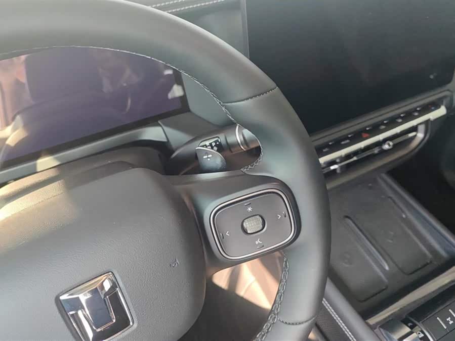 Tank 300 New Energy 2025 car image #16