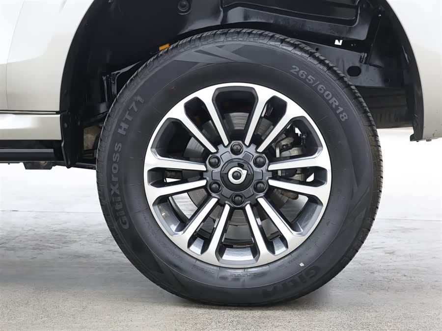 Great Wall Shanhai Pao 2023 #16 Great Wall Shanhai Pao 2023 car image #16