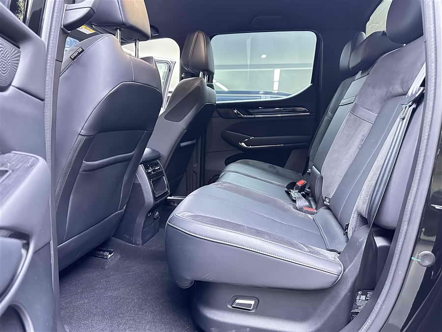 Great Wall Shanhai Pao 2024 car image #16