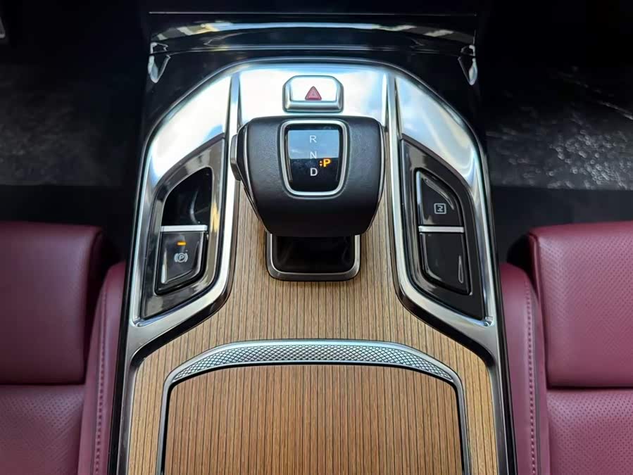 HongQi E-HS9 2023 immagine di auto #16