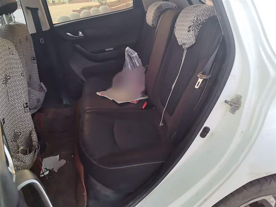 Changan BenBen E-Star 2020 car image #16