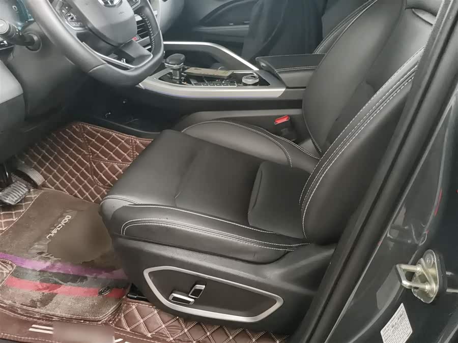 GEELY Tugella New Energy 2019 car image #16