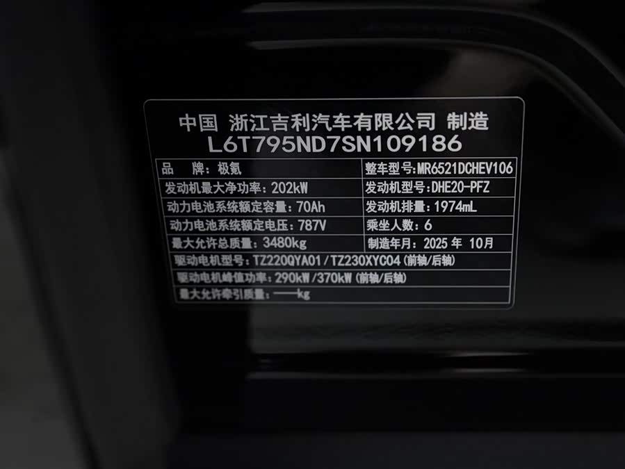 极氪 极氪009 2024 汽车图片 #16