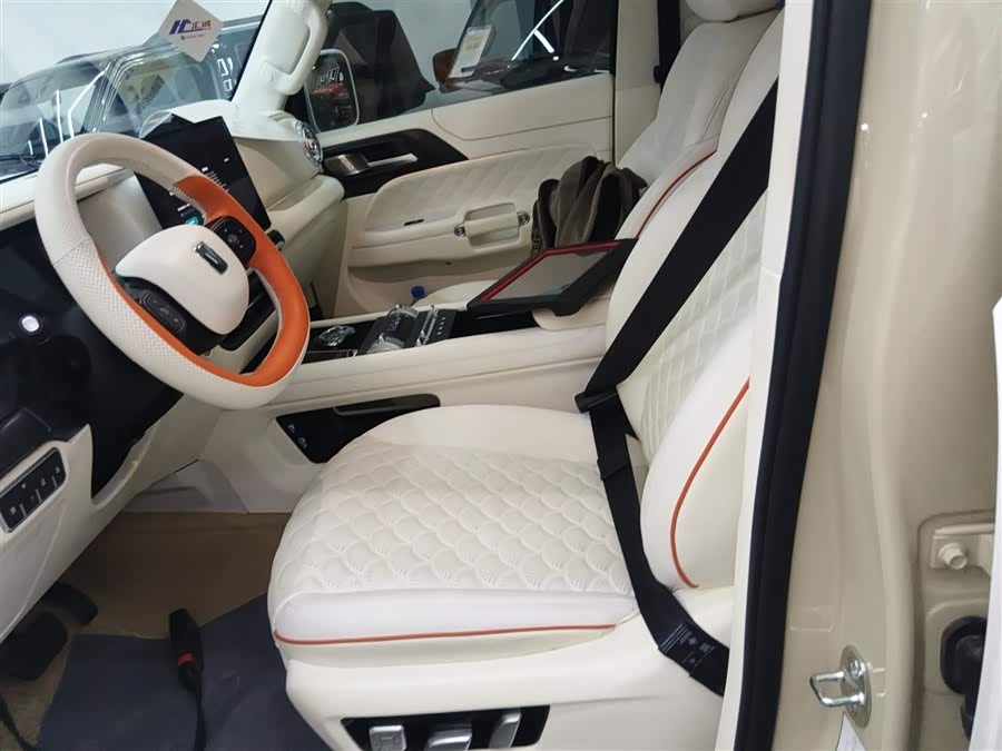 Tank 300 New Energy 2025 imagem de carro #16