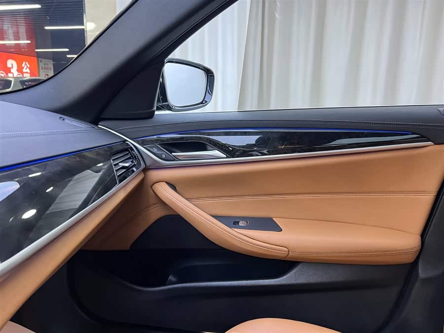 BMW 5 Series 2021 car image #16