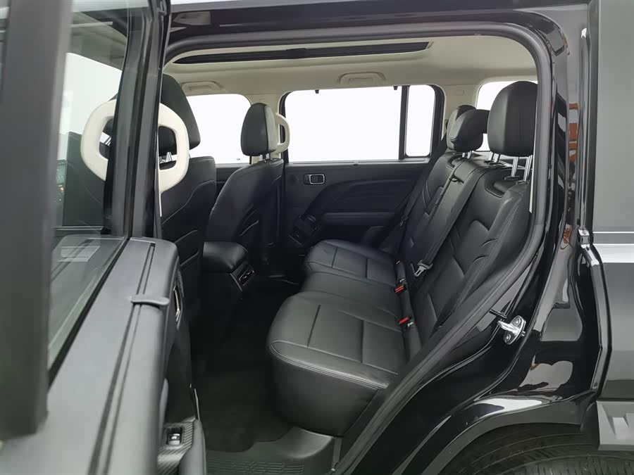 Haval Raptor New Energy 2023 car image #16