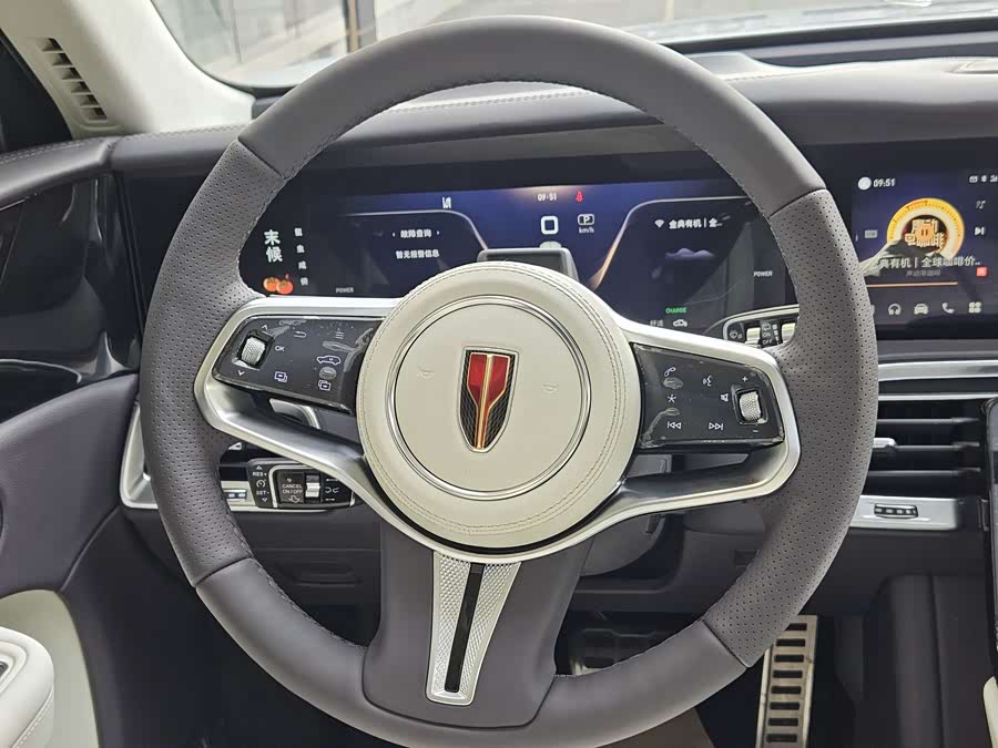 HongQi E-HS9 2021 صورة سيارة #16