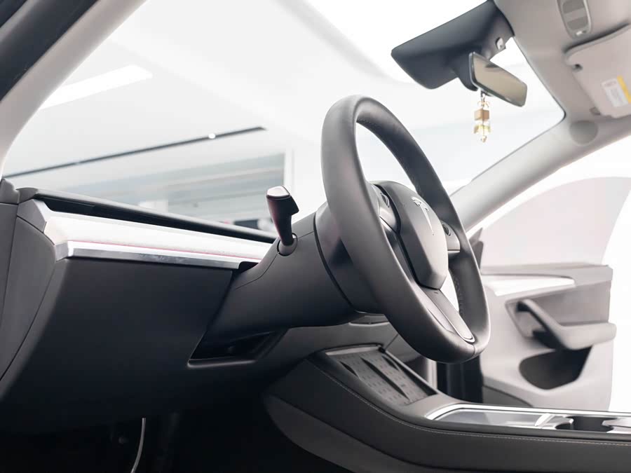 Tesla Model Y 2024 car image #16