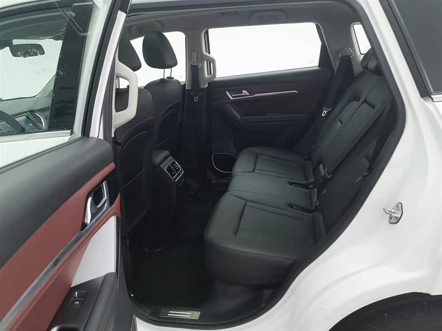 Haval H6 Coupe 2018 car image #16