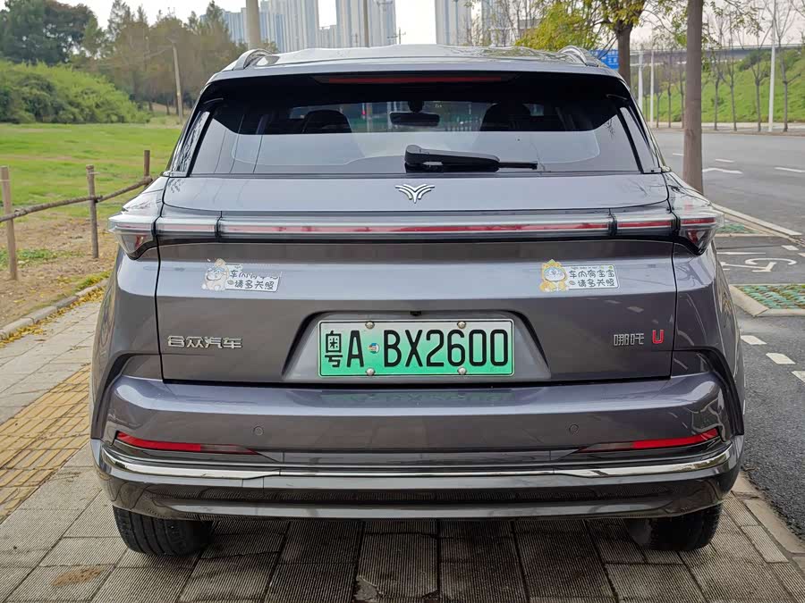 Neta U 2023 imagen de coche #16