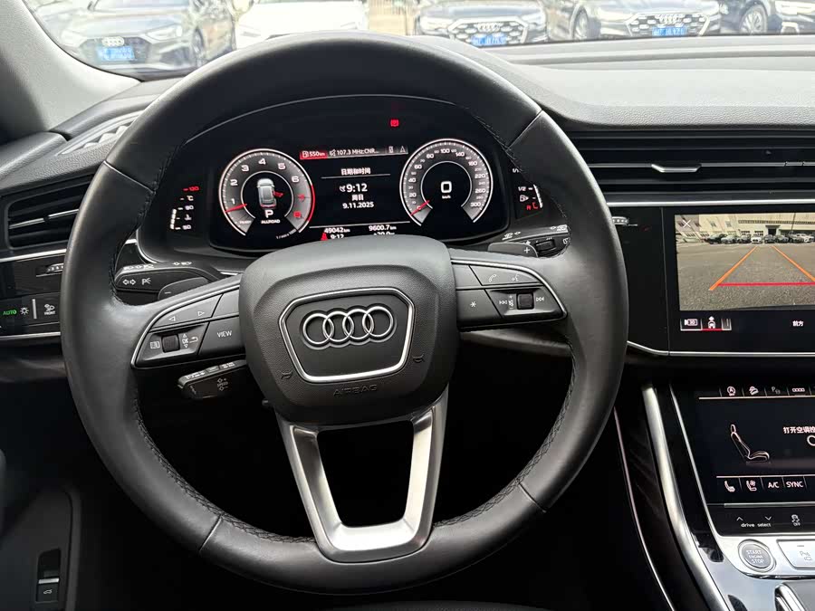Audi Q8 2022 car image #16