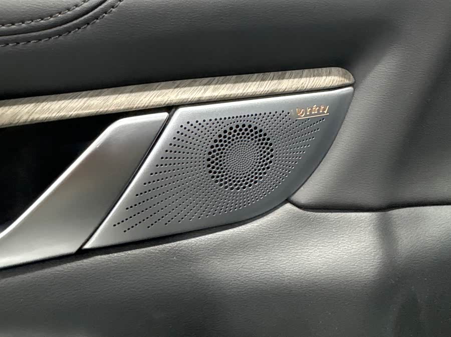 Tank 500 New Energy 2023 car image #16