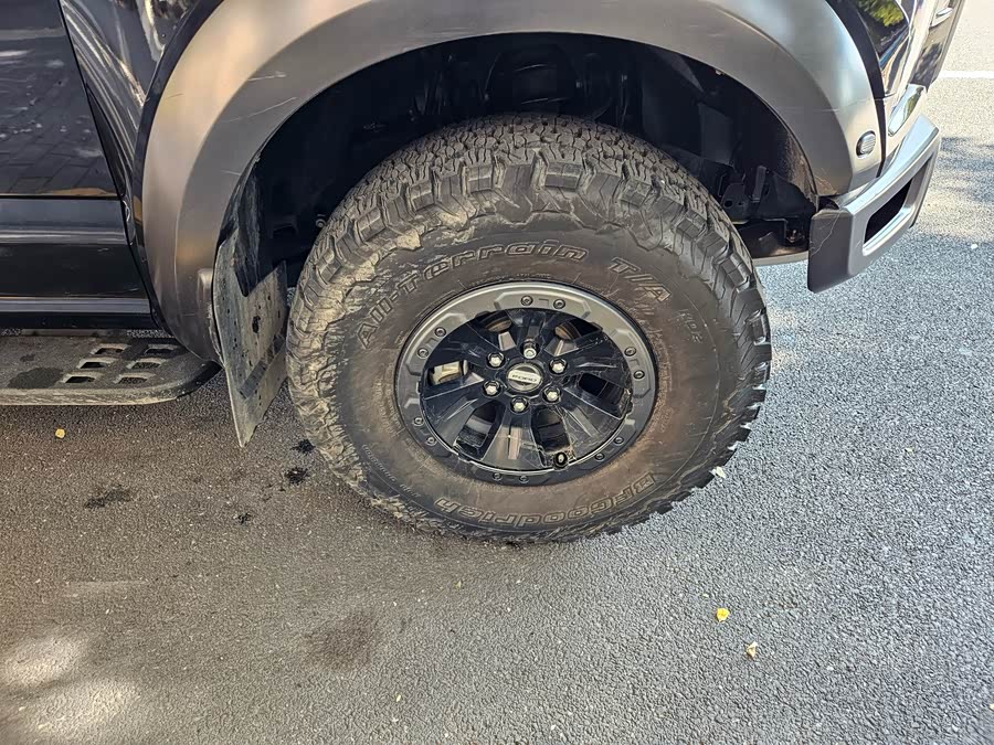 Ford F-150 Raptor 2018 car image #16