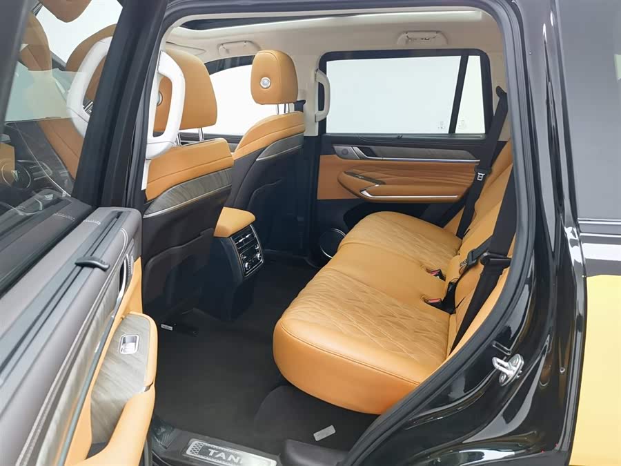 Tank 500 New Energy 2025 immagine di auto #16