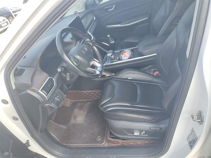 HongQi E-HS3 2020 car image #16