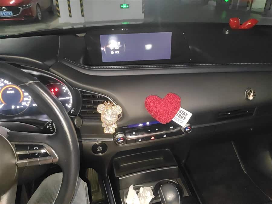 Mazda CX-3 2020 car image #16