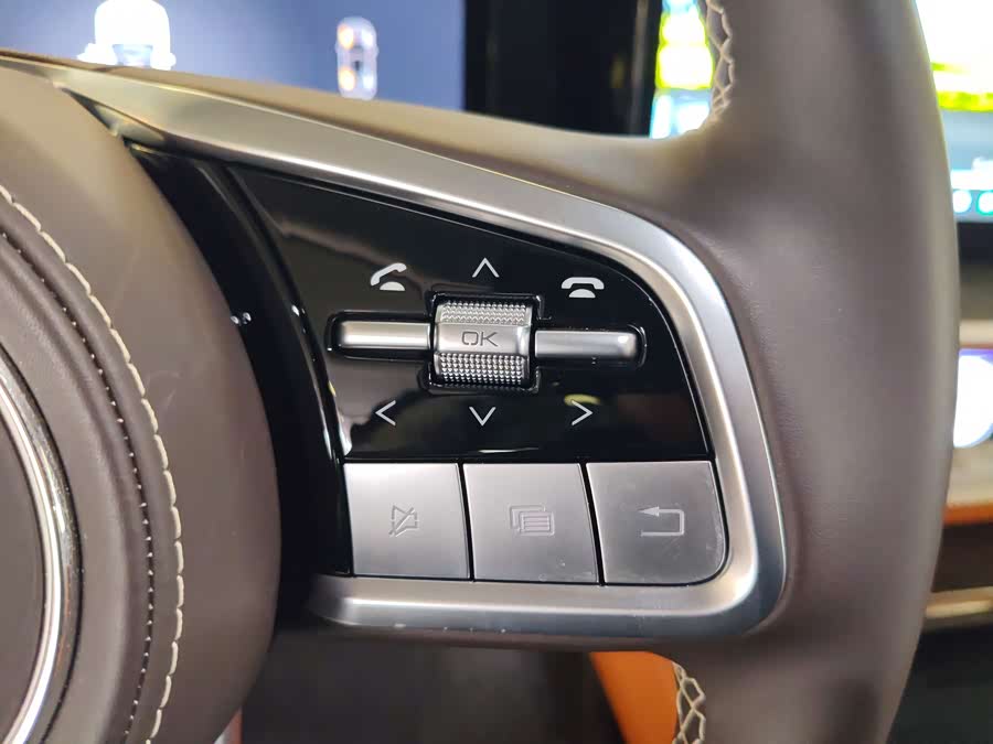 Tank 500 New Energy 2024 immagine di auto #16