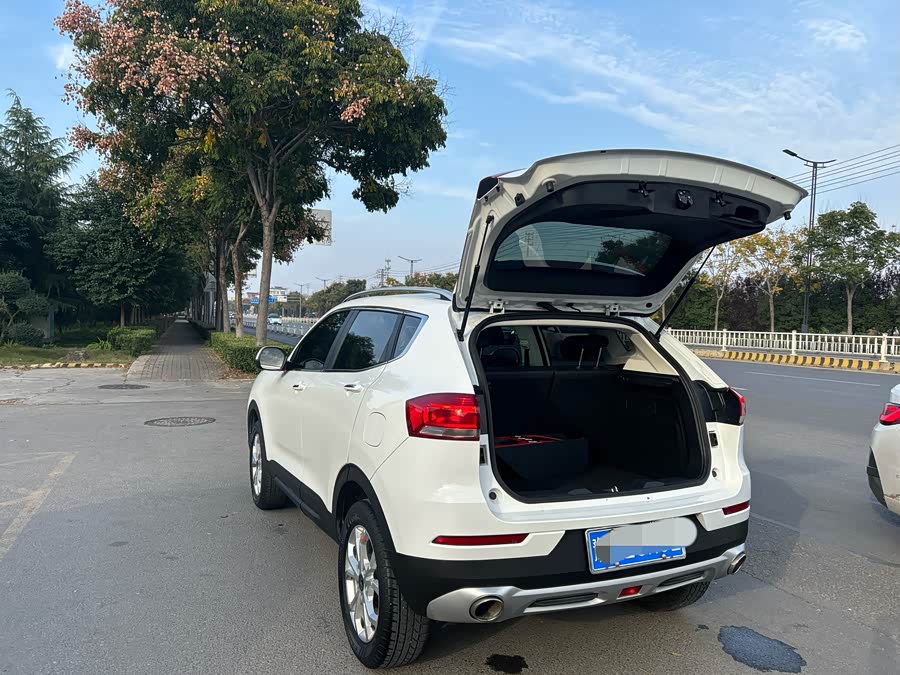 Haval H2s 2019 car image #16