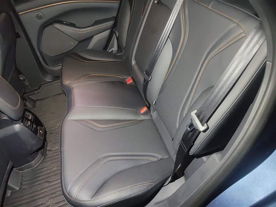 Ford Mustang Mach-E 2022 car image #16