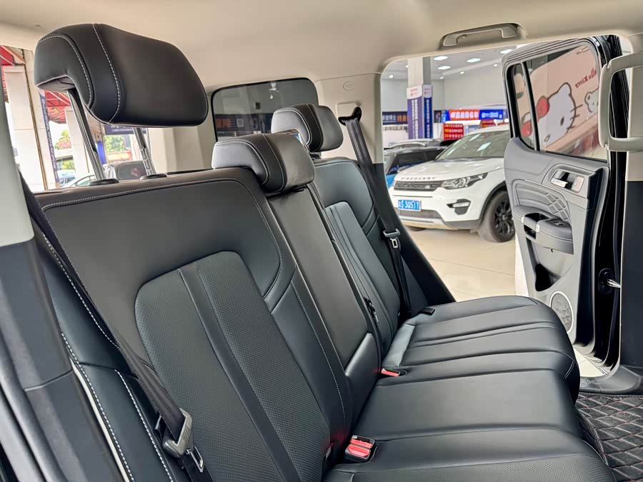 Tank 500 New Energy 2024 immagine di auto #16