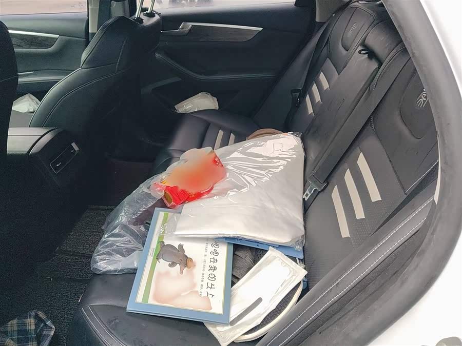 BYD Qin Pro New Energy 2018 car image #16