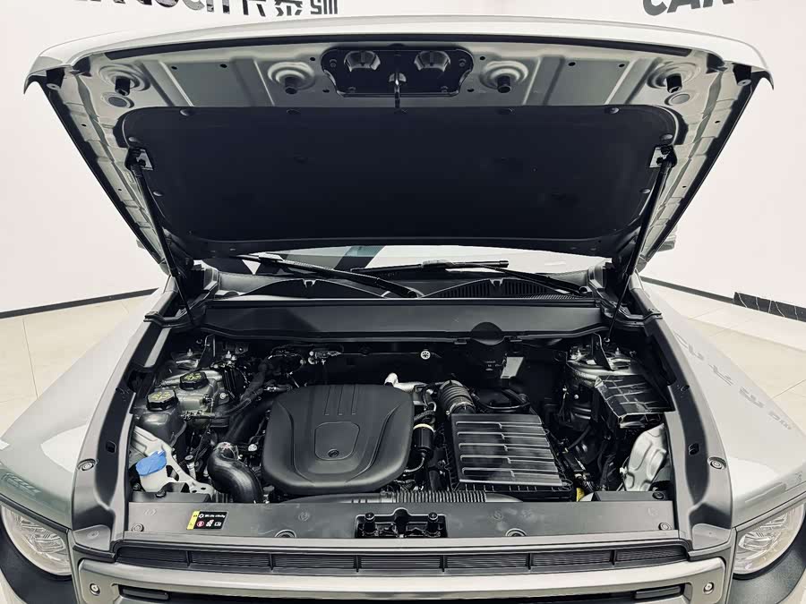 Haval Raptor New Energy 2024 car image #16