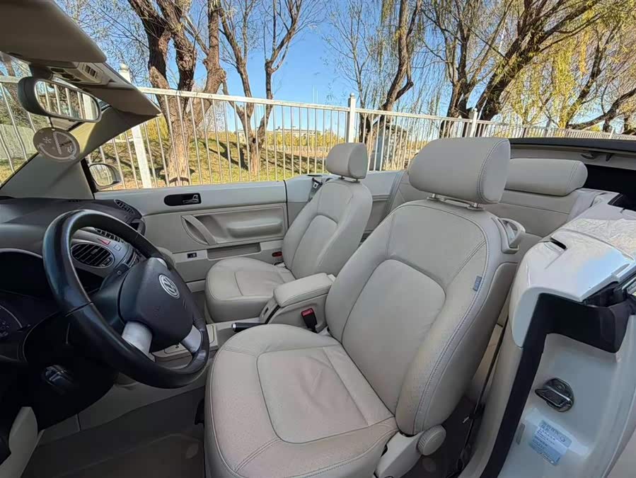 Volkswagen Beetle 2010 immagine di auto #16