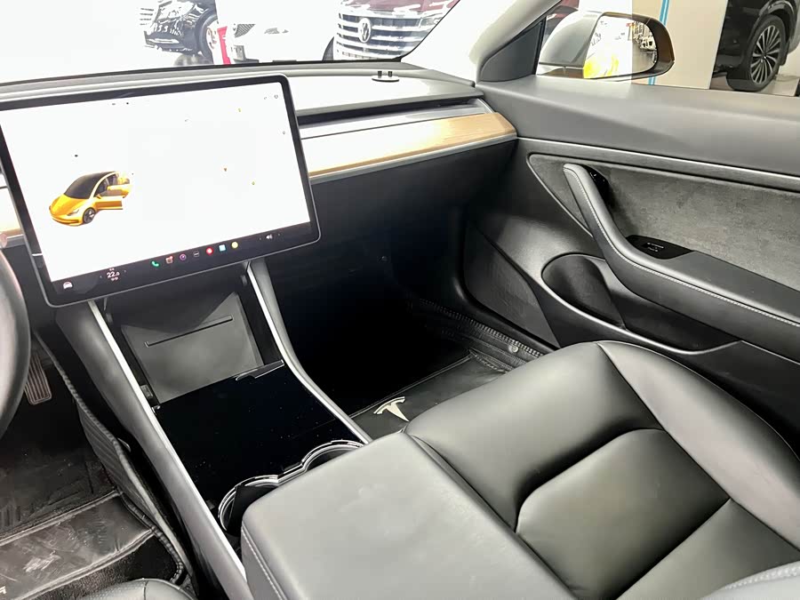 Tesla Model 3 2020 car image #16