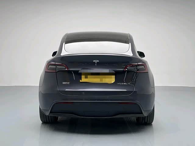 Tesla Model Y 2023 car image #16