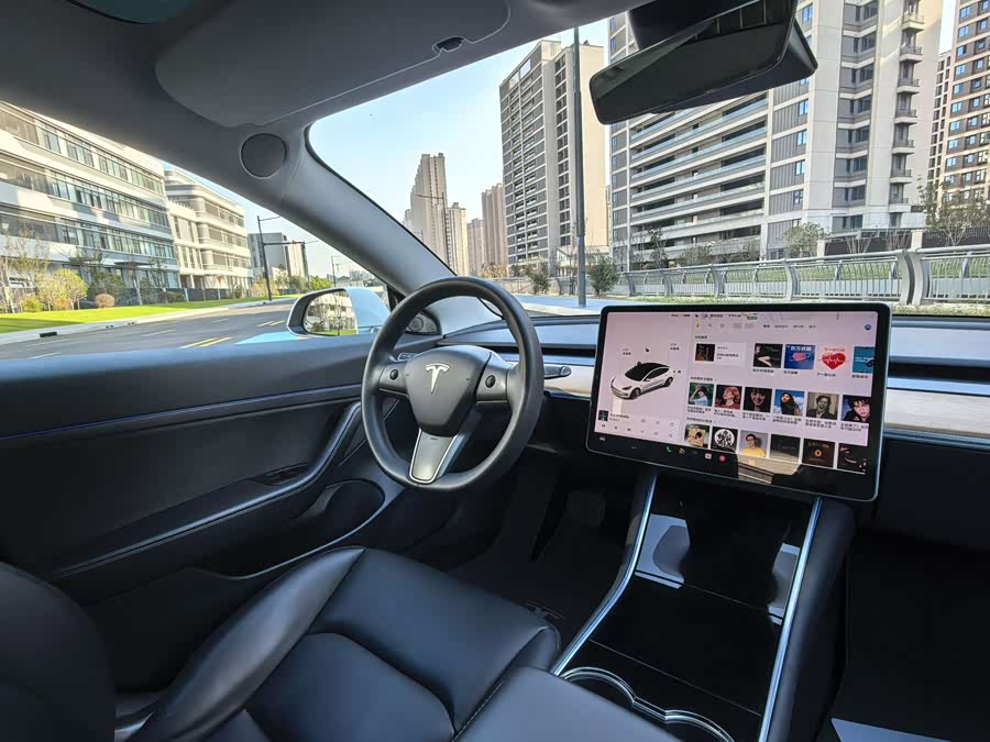 Tesla Model 3 2020 image de voiture #16
