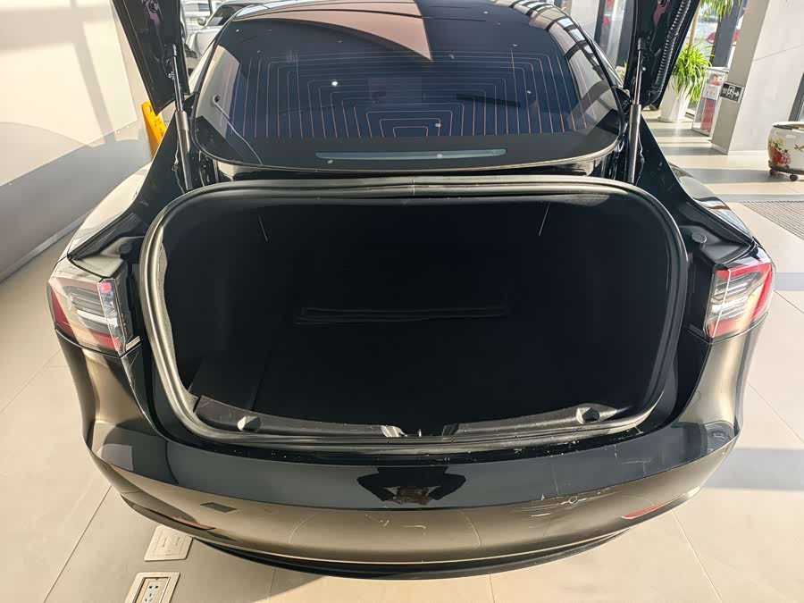 特斯拉 Model 3(进口) 2019 汽车图片 #16