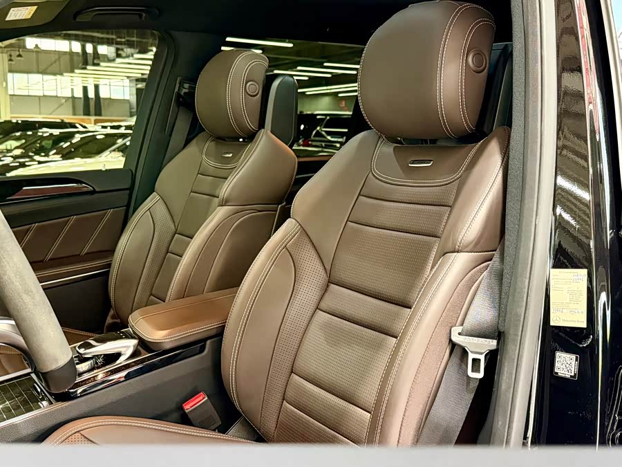 Mercedes-Benz GLS AMG 2019 car image #16