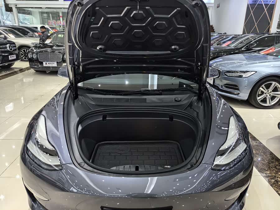 Tesla Model 3 2020 car image #16