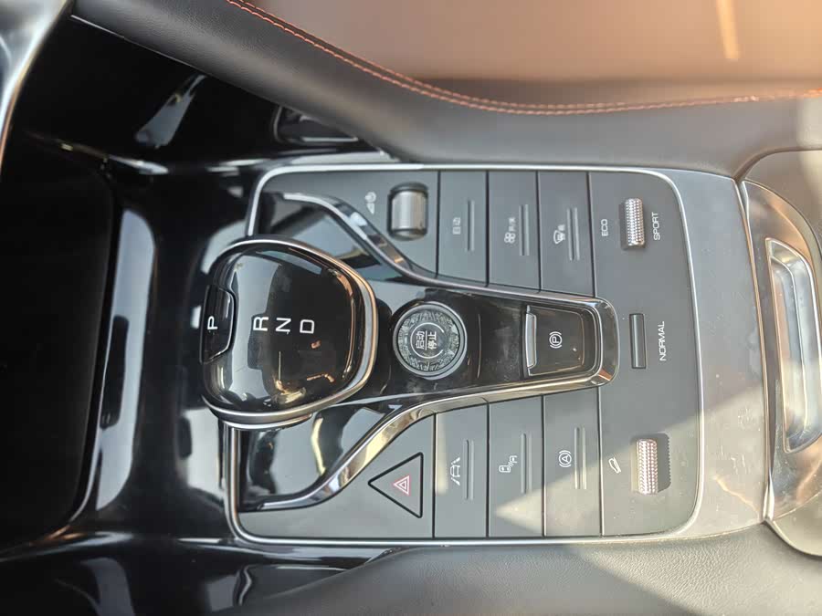 BYD Song Plus 2021 immagine di auto #16