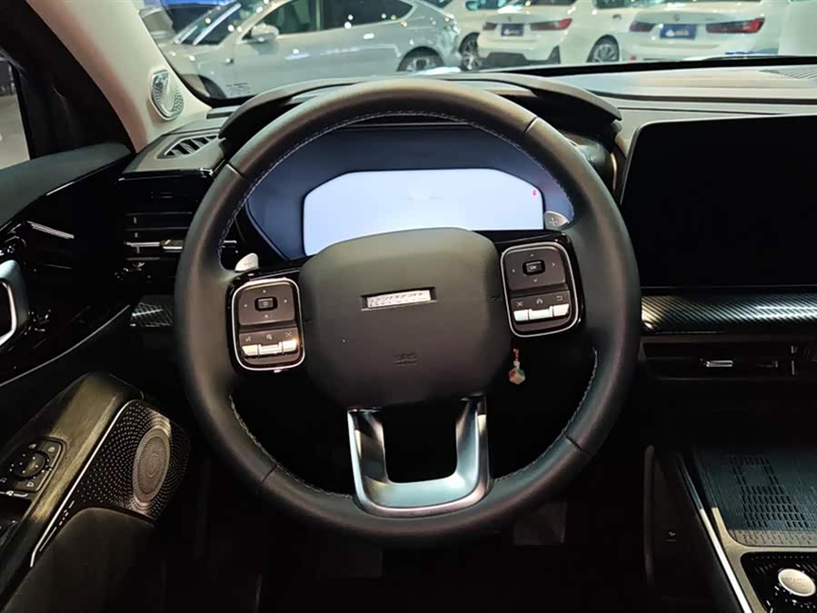 Haval Dargo 2023 car image #16